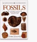 DK Handbooks: Fossils