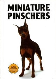 Miniature Pinschers