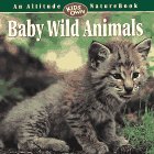 Baby Wild Animals (An Altitude 