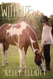 Without You  (The Journey Home) (Volume 1)