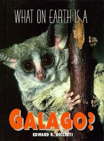 What on Earth Is a Galago?