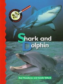 Shark and Dolphin (Discover the Difference)