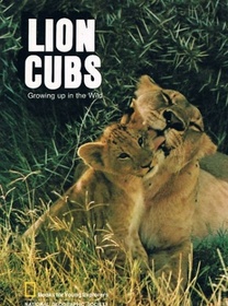 Lion cubs, growing up in the wild (Books for young explorers)