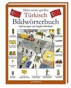 Mein erstes groes Trkisch Bildwrterbuch. Physik und die Erscheinung des Lebendigen.