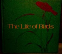 The life of birds
