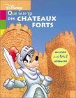 Que sais-tu des chteaux-forts ?