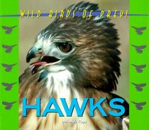 Hawks (Wild Birds of Prey)