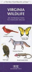 Virginia Wildlife: An Introduction to Familiar Species (Pocket Naturalist - Waterford Press)