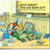 Why Doesn't the Sun Burn Out?: 2