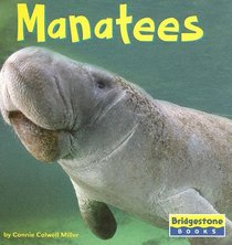 Manatees (World of Mammals)