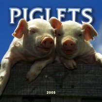Piglets 2005 Mini Wall Calendar