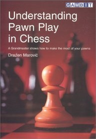 Understanding Pawn Play in Chess