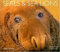 Seals and Sea Lions (World Life Library)