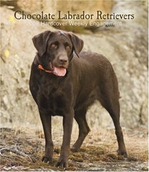 Labrador Retrievers, Chocolate 2008 Spiral Hardcover Weekly Engagement Calendar (German, French, Spanish and English Edition)
