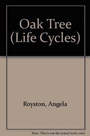 Life Cycle of an Oak Tree (Life Cycle of A...)