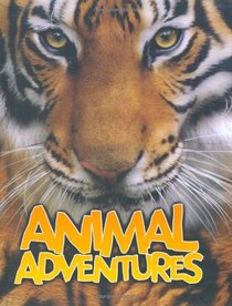 Animal Adventures