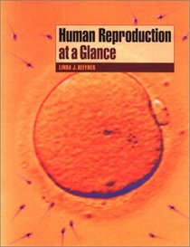 Human Reproduction at a Glance (At a Glance)