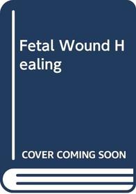 Fetal Wound Healing