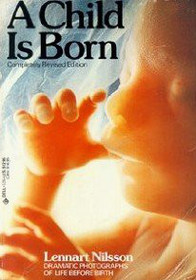 A Child Is Born:  The Drama of Life Before Birth