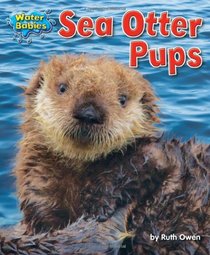 Sea Otter Pups (Water Babies)