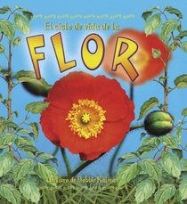 El Ciclo De Vida De La Flor/ the Flower's Life Cycle (Ciclos De Vida) (Spanish Edition)