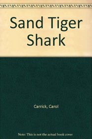 SANDTIGER SHARK PA