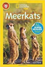National Geographic Kids Chapters Readers Levels 1: Ponies, Polar Bears, Frogs, Meerkats, Dinosaurs; Lvl 2: Penguins, Weird Sea Creatures, Snakes, Sharks, Dolphins