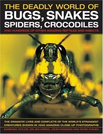 The Amazing World of Bugs, Snakes, Spiders, Crocodiles & Other Things: Discover the amazing world of reptiles and bugs, featuring more than 1500 fabulous wildlife photographs and illustrations