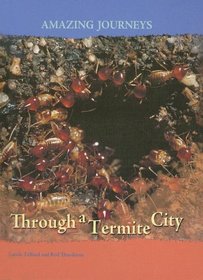 Through a Termite City (Amazing Journeys/2nd Edition)