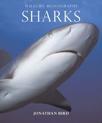 Sharks (Wildlife Monographs)
