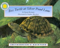 Box Turtle at Silver Pond Land (Smithsonian's Backyard)