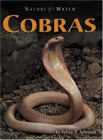 Cobras (Nature Watch)