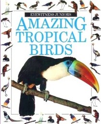 Amazing Tropical Birds (Eyewitness Juniors)