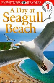 DK Readers: Day at Seagull Beach (Level 1: Beginning to Read)