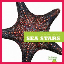 Sea Stars (Life Under the Sea)
