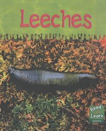 Leeches (Read & Learn: Ooey-gooey Animals)