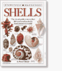 DK Handbooks: Shells