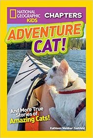 National Geographic Kids Chapters: Adventure Cat! (NGK Chapters)