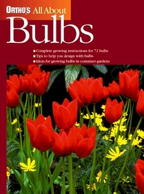 All About Bulbs