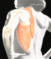 Human Anatomy- W/CD