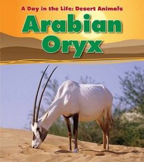 Arabian Oryx (A Day in the Life Desert Anima)