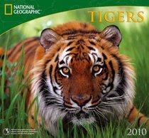 Tigers - 2010 National Geographic Wall Calendar