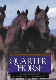 The Quarter Horse (Learning About Horses)