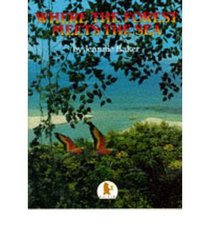 Where the Forest Meets the Sea/Big Book