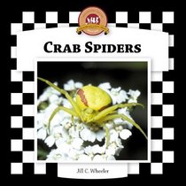 Crab Spiders (Spiders Set II)