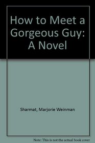 How to Meet a Gorgeous Guy: A Novel