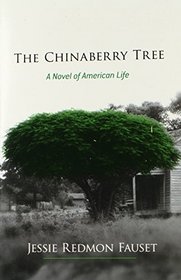 The Chinaberry Tree: A Novel of American Life