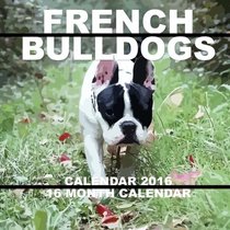 French Bulldogs Calendar 2016: 16 Month Calendar