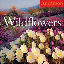 Audubon Wildflowers Calendar 2009 (Wall Calendars)