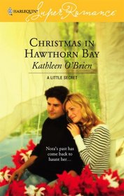 Christmas in Hawthorn Bay (A Little Secret) (Harlequin Superromance, No 1382)